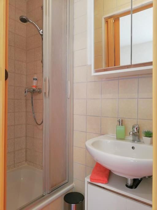 Ferienwohnung Fuer Naturfreunde Rathmannsdorf 外观 照片