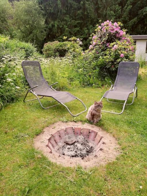 Ferienwohnung Fuer Naturfreunde Rathmannsdorf 外观 照片