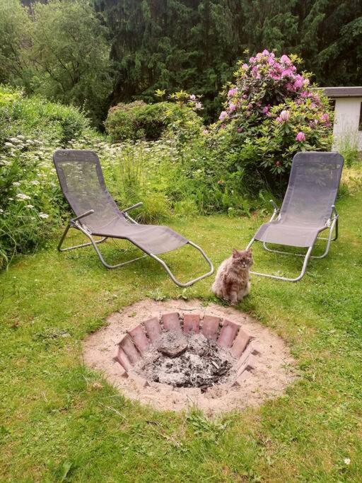 Ferienwohnung Fuer Naturfreunde Rathmannsdorf 外观 照片